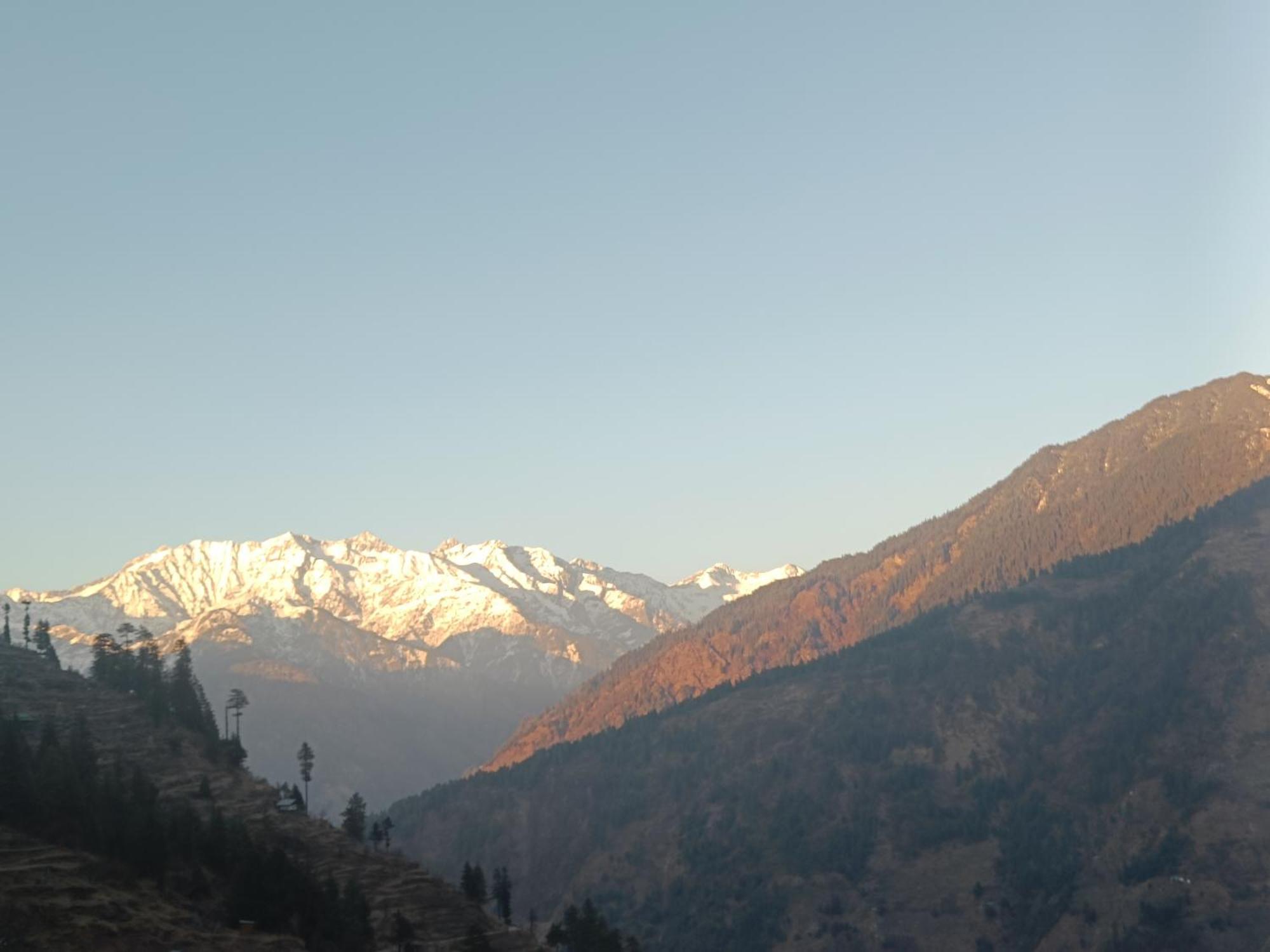 Trimounts-A Boutique Hotel & Wellnes Center In Tirthan Valley Banjār Buitenkant foto